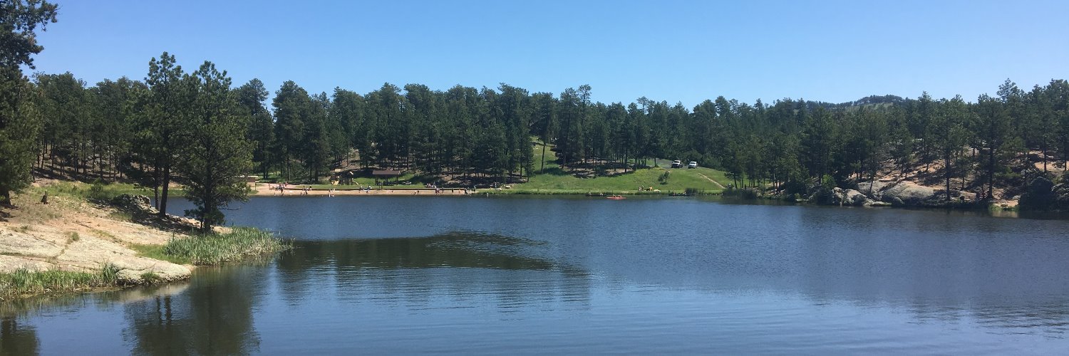 Cheryl Lenser banner