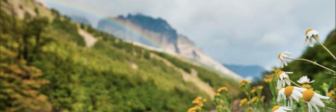 BackwoodsEquip's profile banner image