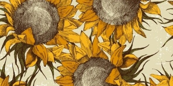 AriaShavelson's profile banner image