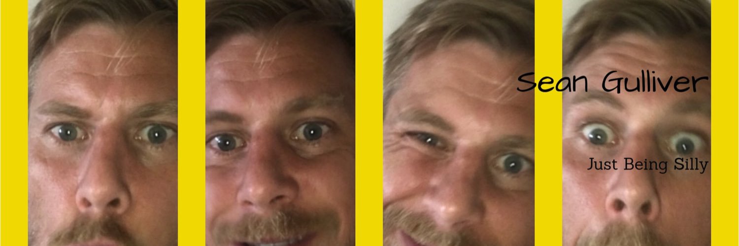 seangully12's profile banner image