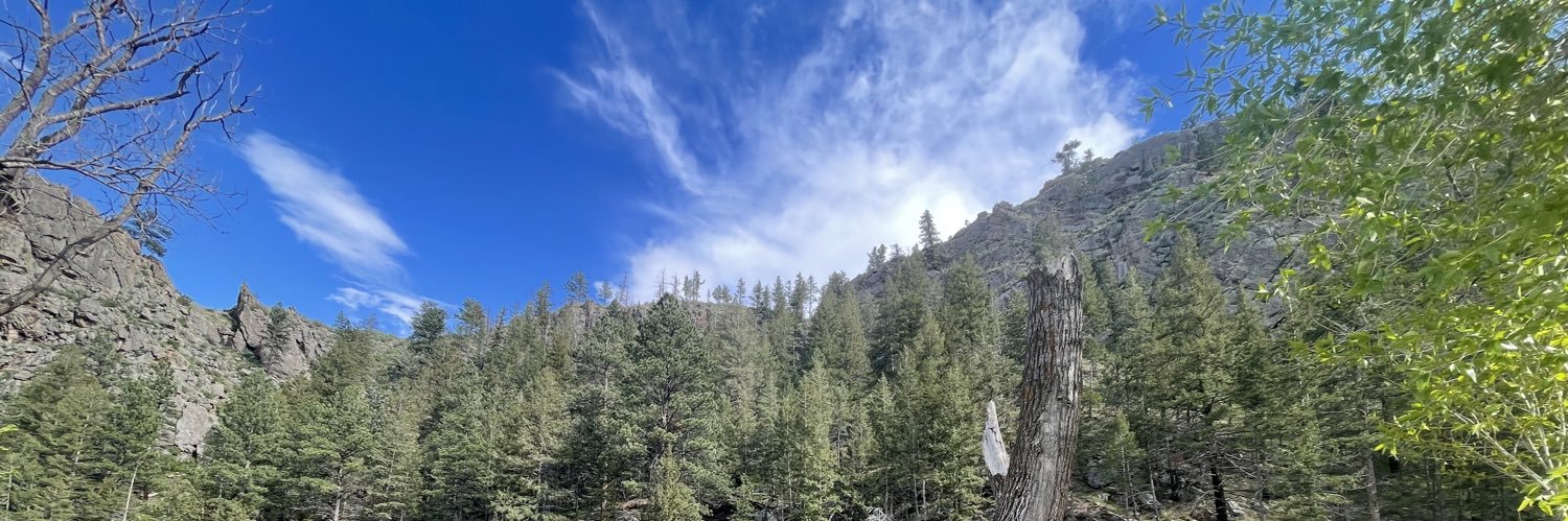 lexijordann's profile banner image
