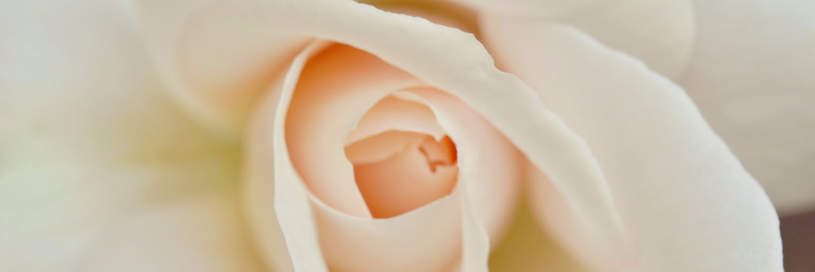 Rub_eins's profile banner image