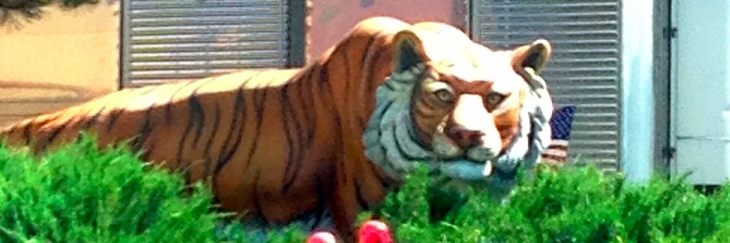 RunningBengals's profile banner image