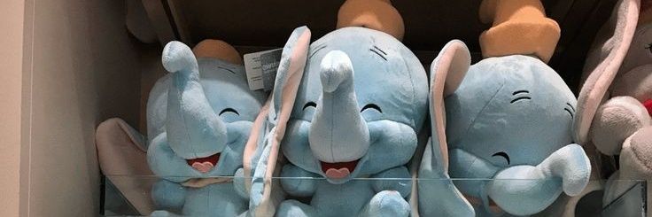 kiasmentari's profile banner image