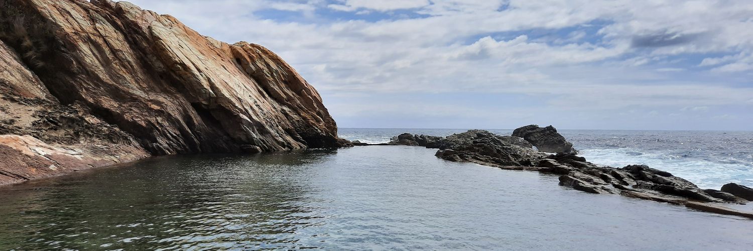 Callum J. Harvey banner