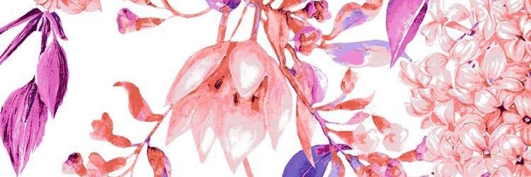 sofisp18's profile banner image