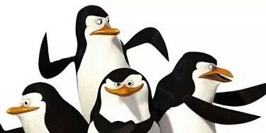 CisottoMax's profile banner image