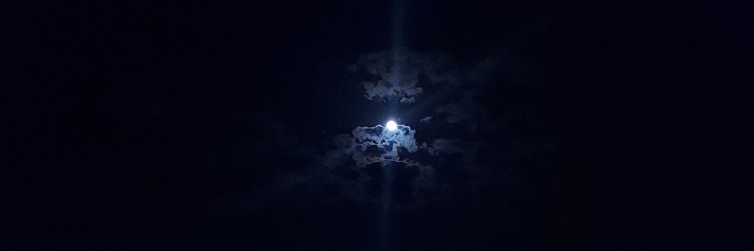 LisaAGCrux's profile banner image