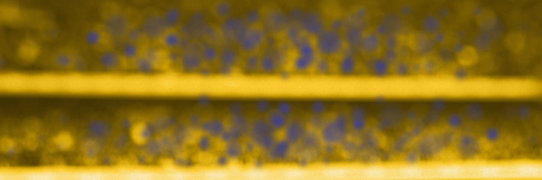 PranaySoniMD Profile Banner