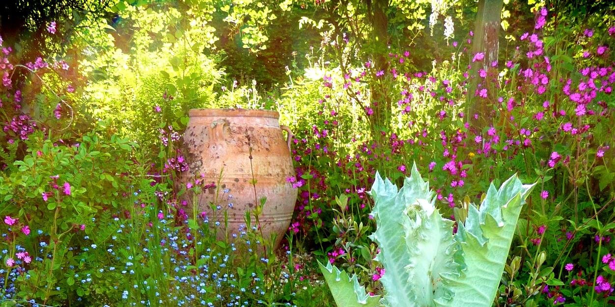 Burrow Farm Gardens banner