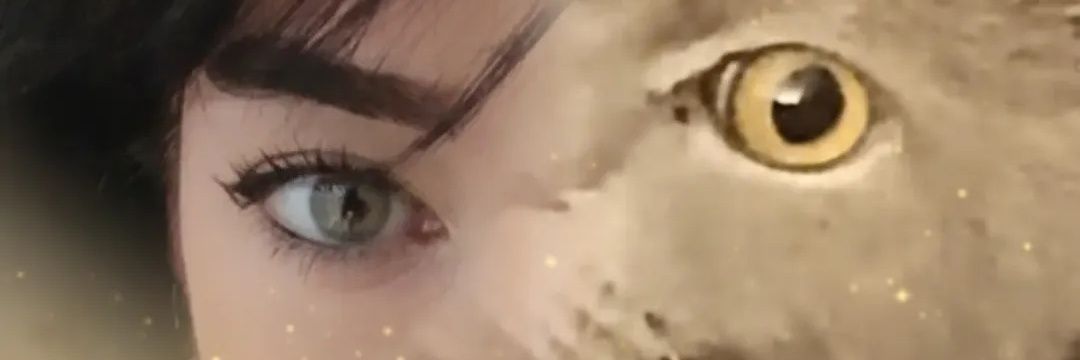 Ö💤lem Ç. 👊🏻 banner