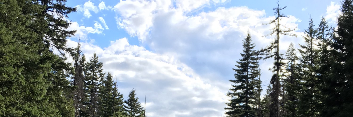 luupeelokz's profile banner image