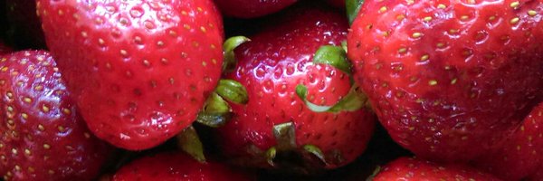 LadyTebs Profile Banner