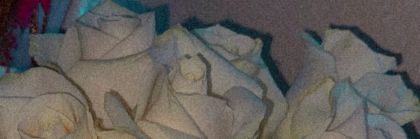 emiily_riveraa's profile banner image
