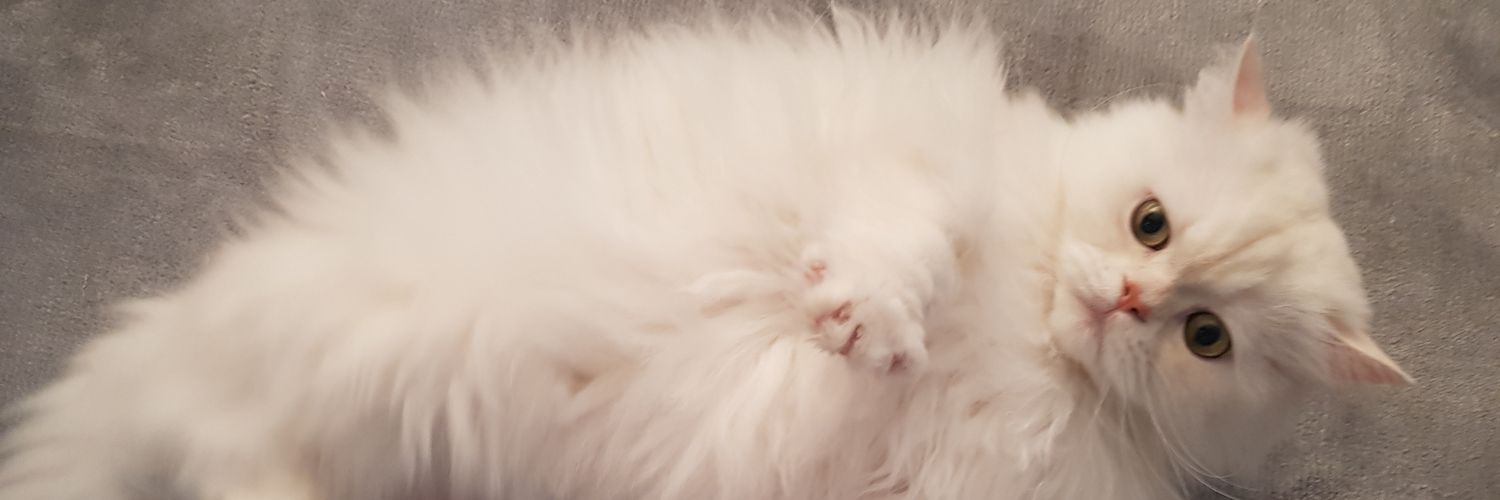 Comeanddo's profile banner image