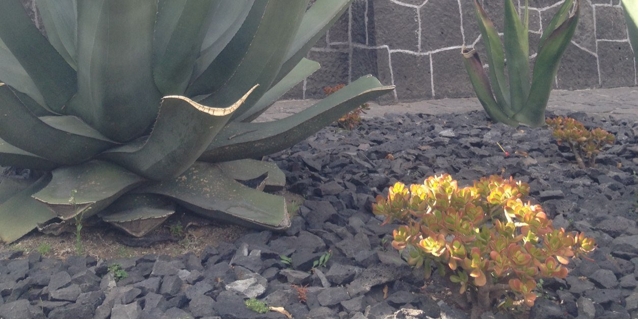 Hipólito Romero R banner