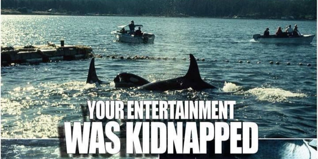 notSeaWorld's profile banner image
