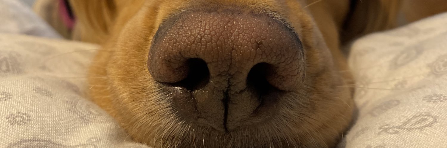 bmitchell____'s profile banner image