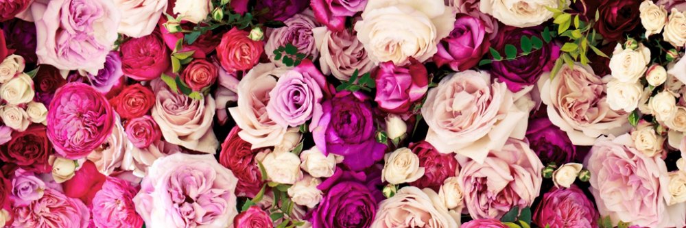 Berna_Toprak's profile banner image
