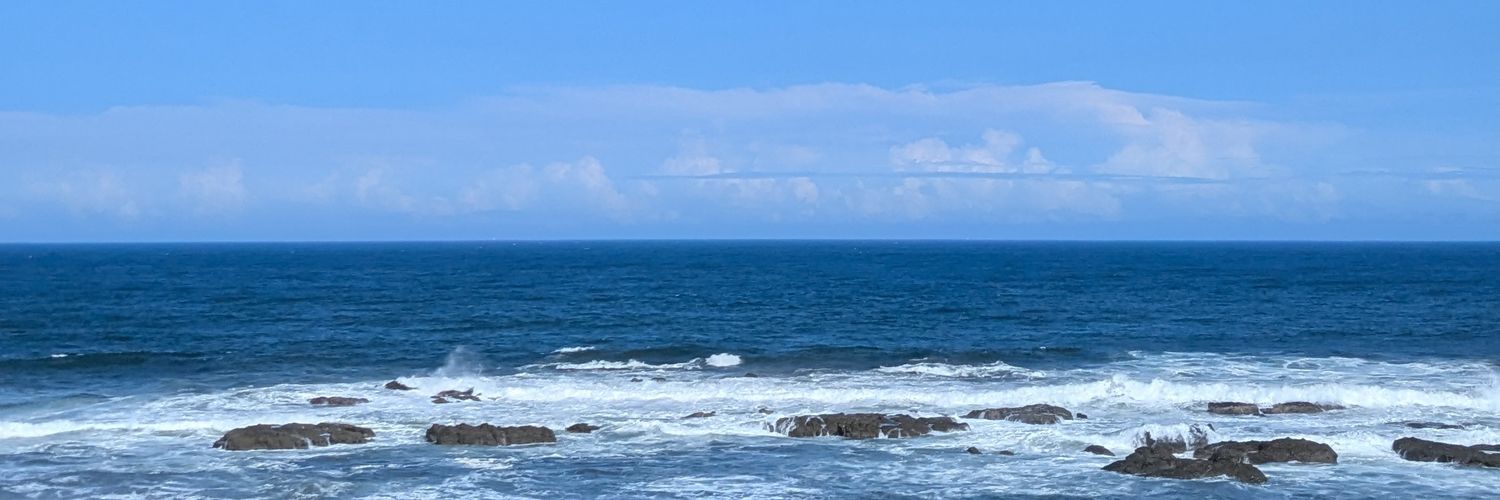 suigett's profile banner image