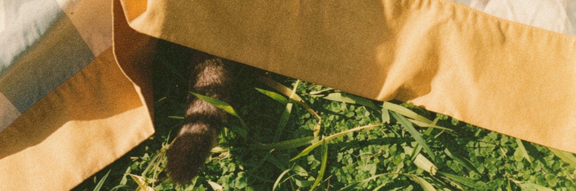 Marrtina_a's profile banner image
