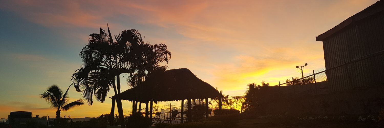JanisLavenia's profile banner image