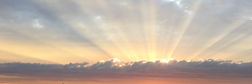 rjlucci's profile banner image
