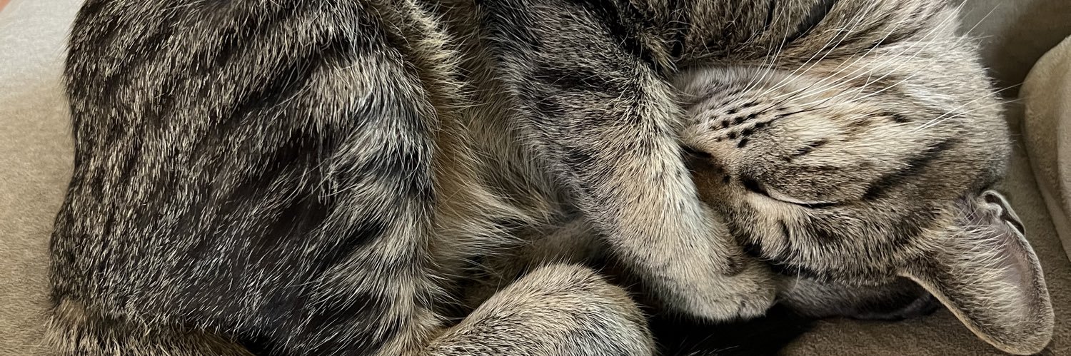 _petahhh's profile banner image