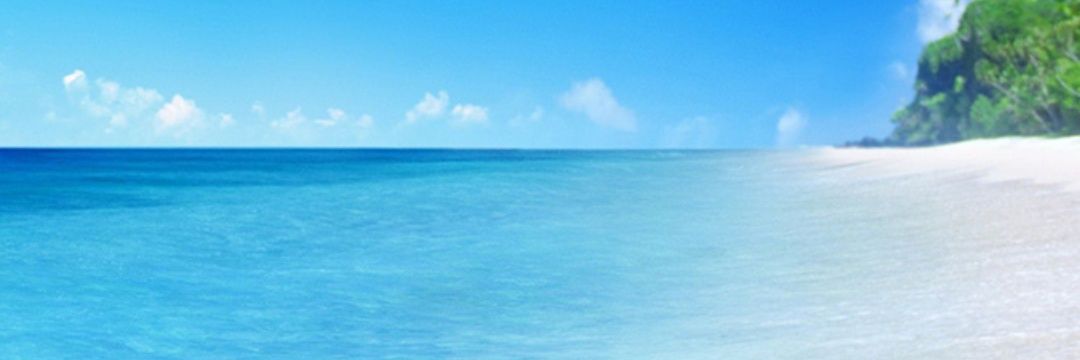 Tonyros🤓🤓🤓 banner