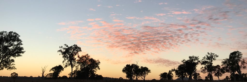 sch816's profile banner image