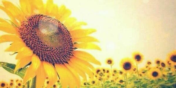 a__0323's profile banner image