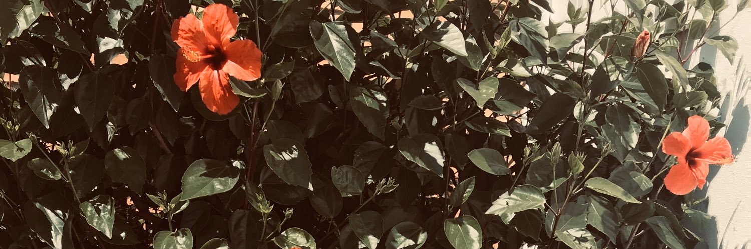 juliaurteneche's profile banner image
