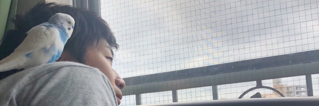 takahide_akimo's profile banner image