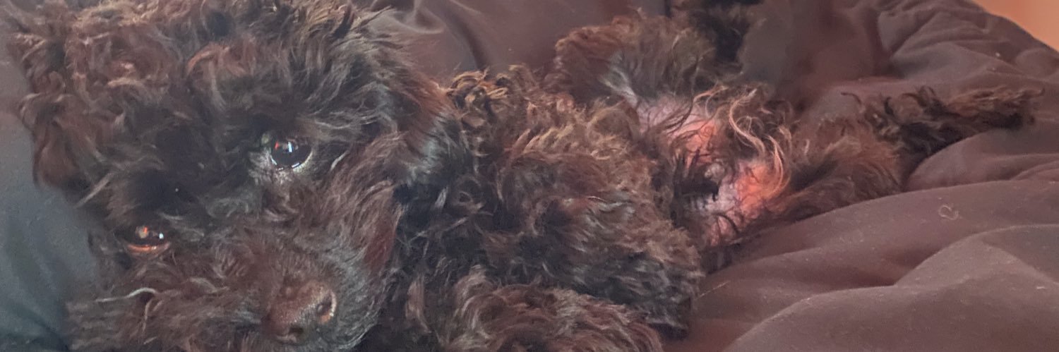 sterlsilvr's profile banner image