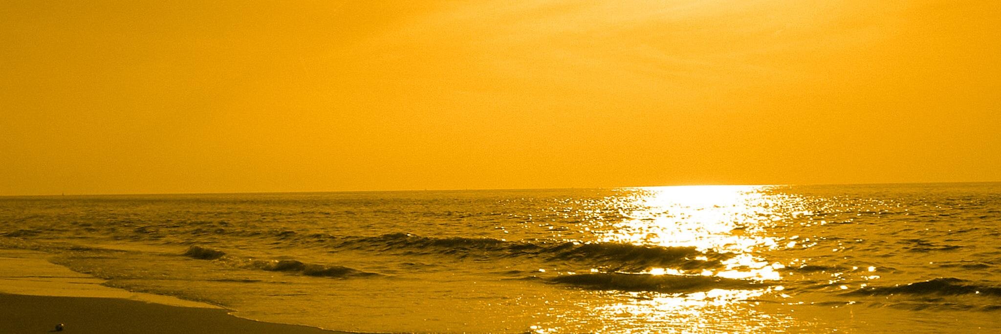 jacvare's profile banner image