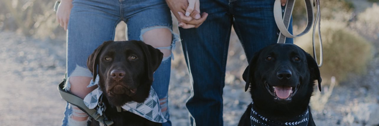 terynjaee's profile banner image