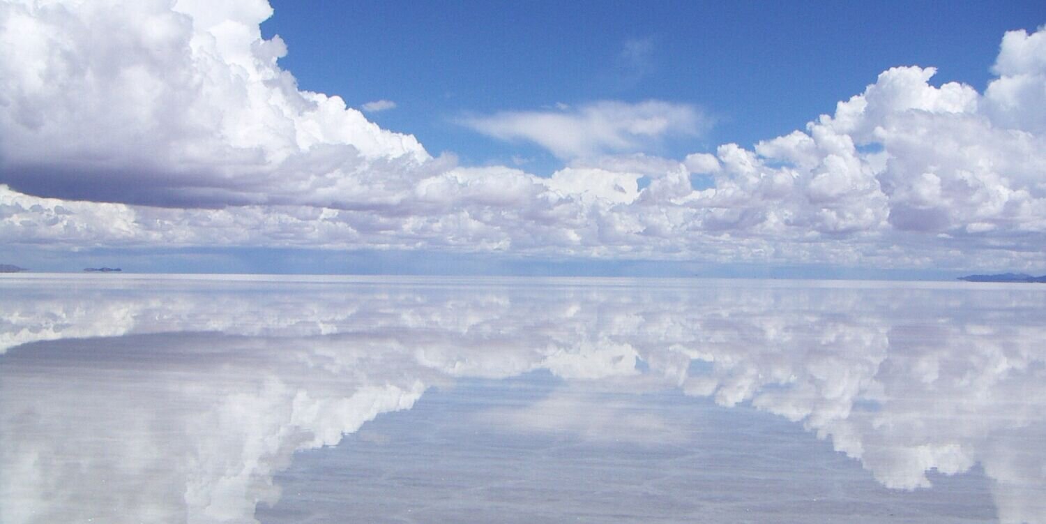 木林　護 / PIXIVFANBOX開設しました banner