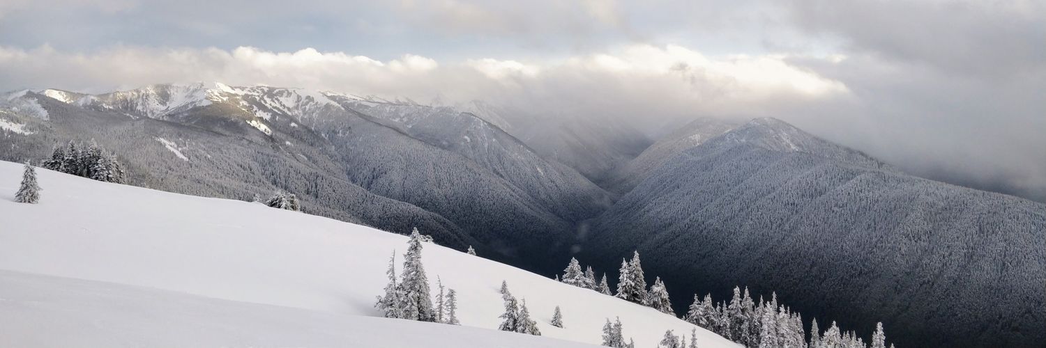 mitulsavani_'s profile banner image