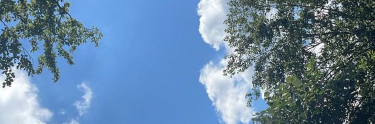 80Gustapo's profile banner image