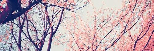 XXIVIIXIX's profile banner image