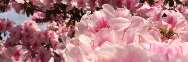 Type00_ Profile Banner