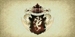 cckcipap's profile banner image