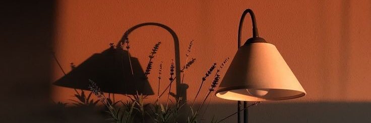 NikBokov99's profile banner image