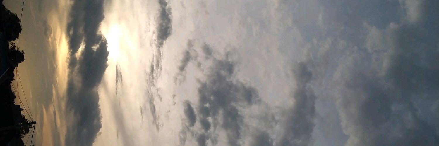 thaalitae's profile banner image