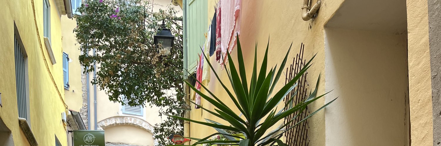 Noflipestio's profile banner image