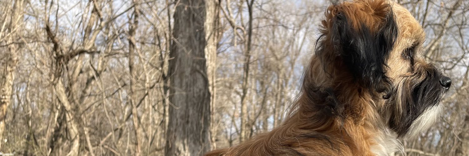 J_Kansas's profile banner image