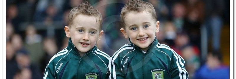 aisling mc Grogan banner