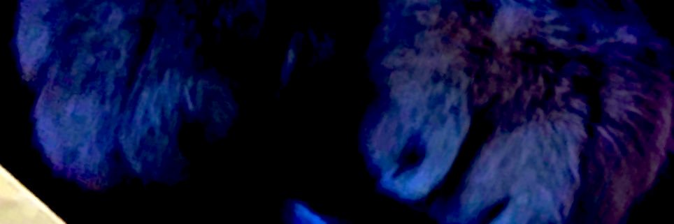 xjustgorb's profile banner image