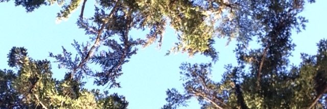 JonesCela's profile banner image