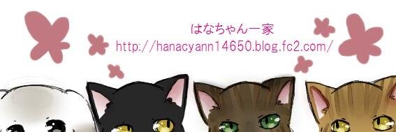 pupusann1's profile banner image